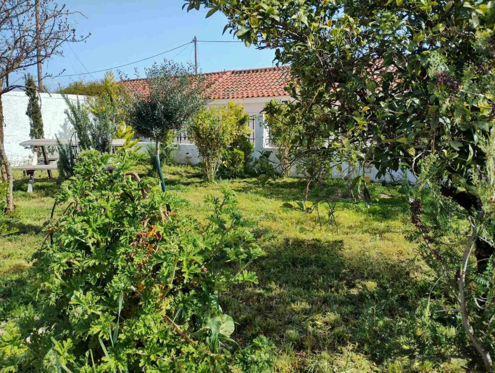 Nafplio Cottage-Grandma'S Yard Asini  Exterior photo